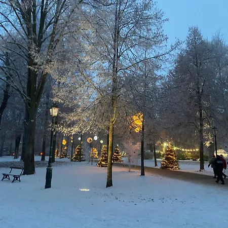 Le Charme D'alsace アパート コルマール