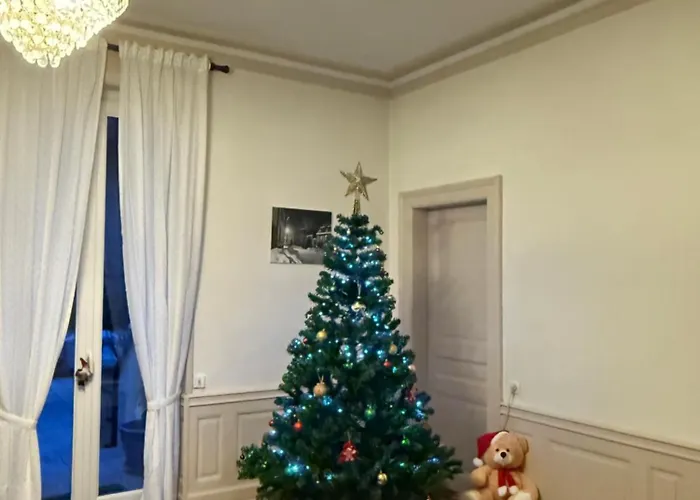 Le Charme D'alsace Colmar