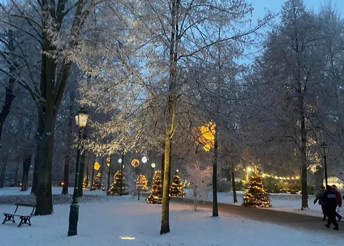 Le Charme D'alsace アパート コルマール